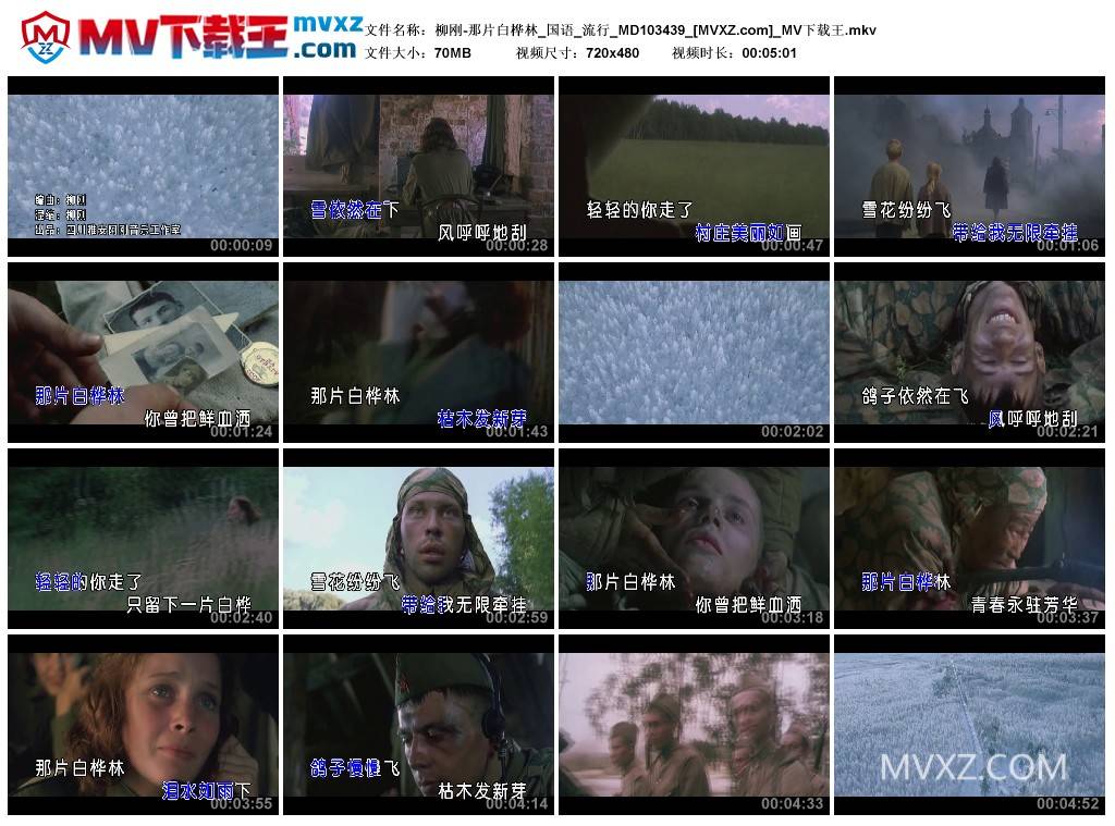 柳刚-那片白桦林_国语_流行_MD103439